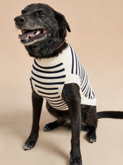 Chien Sweater - La Ligne