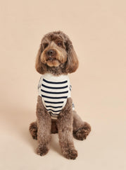 Chien Sweater - La Ligne