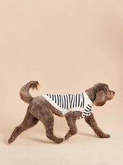 Chien Sweater - La Ligne