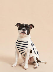 Chien Sweater - La Ligne