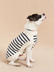 Chien Sweater - La Ligne