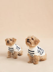 Chien Sweater - La Ligne