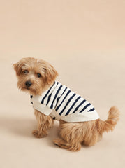 Chien Sweater - La Ligne